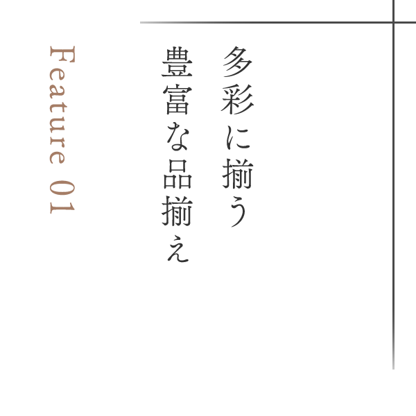 Feature 01